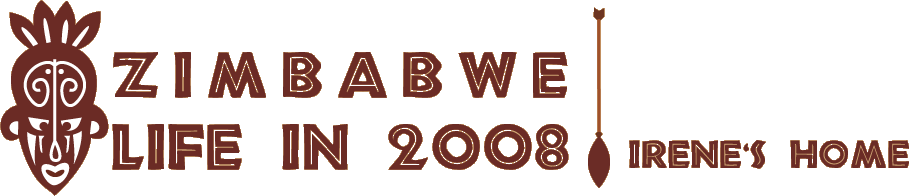 Life in 2008 Zimbabwe Irene's Home